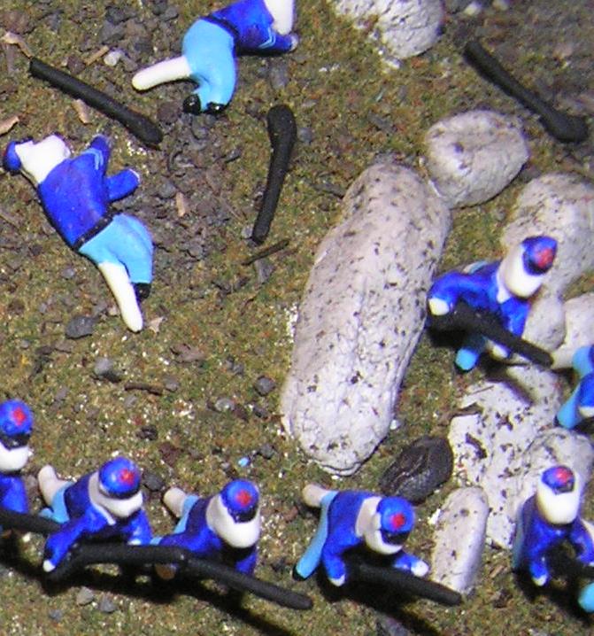 OLYMPUS DIGITAL CAMERA