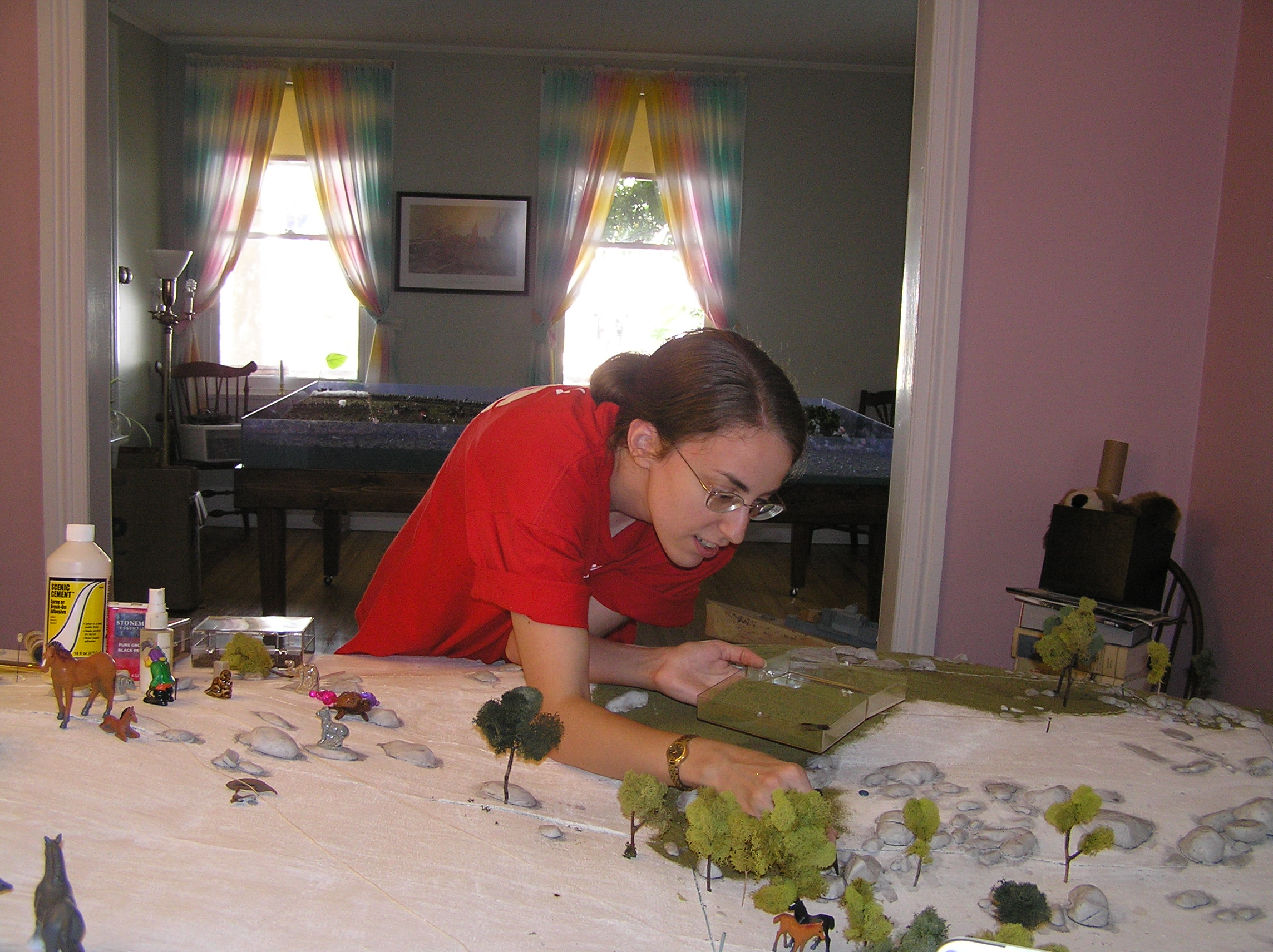 OLYMPUS DIGITAL CAMERA