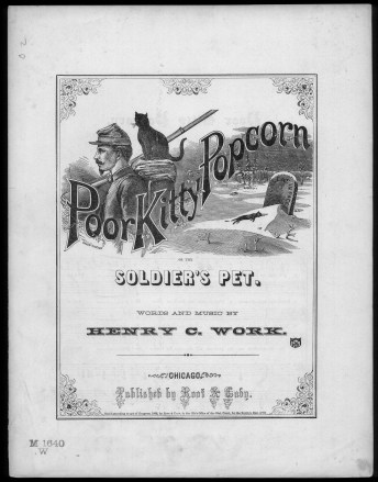 Poor Kitty Popcorn 1