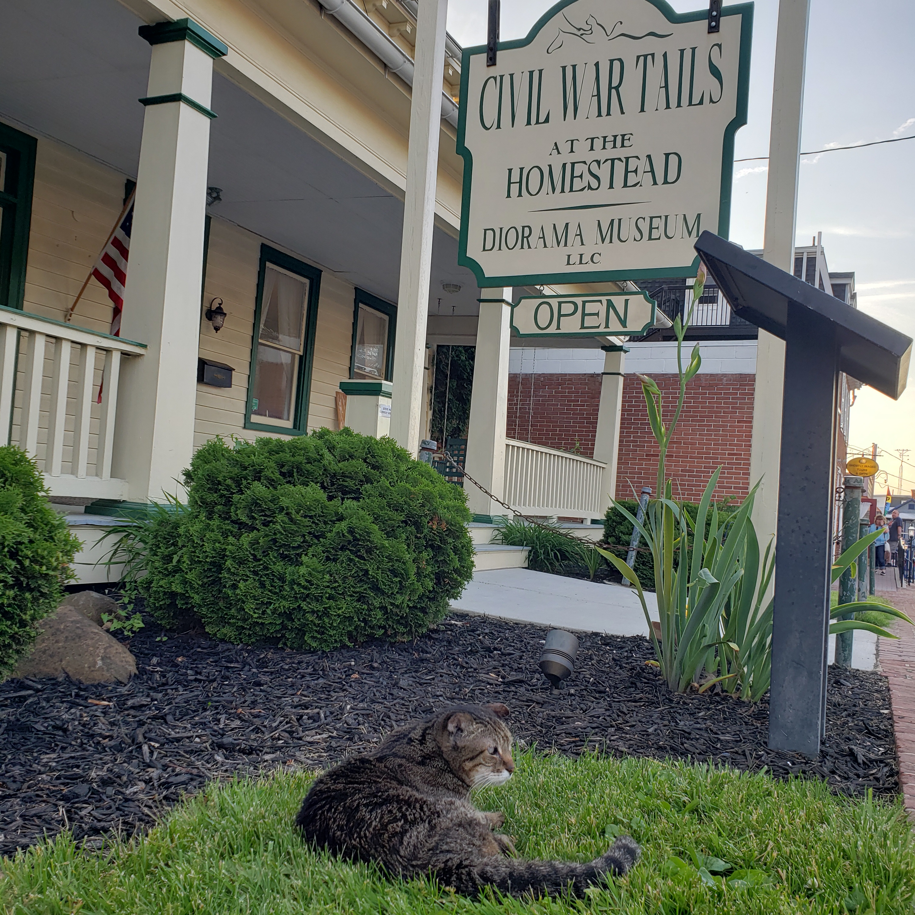 2019-08-15 20190523_194431