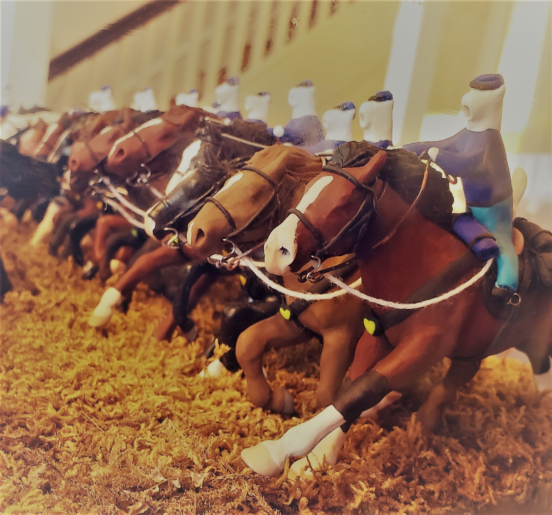 20191010_141642 crop zeke