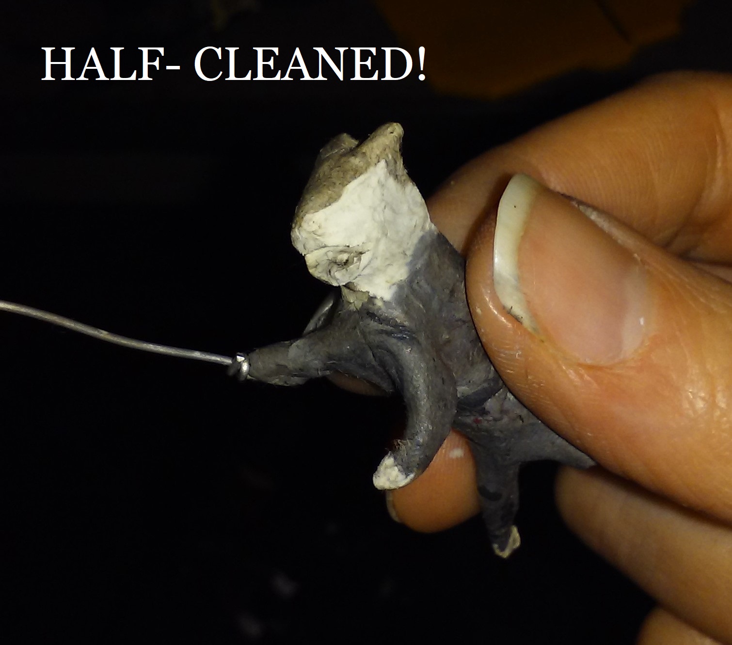 2020-10-10 20180210_173232