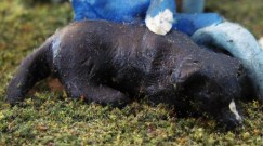 2020-12-21 02 Patrick