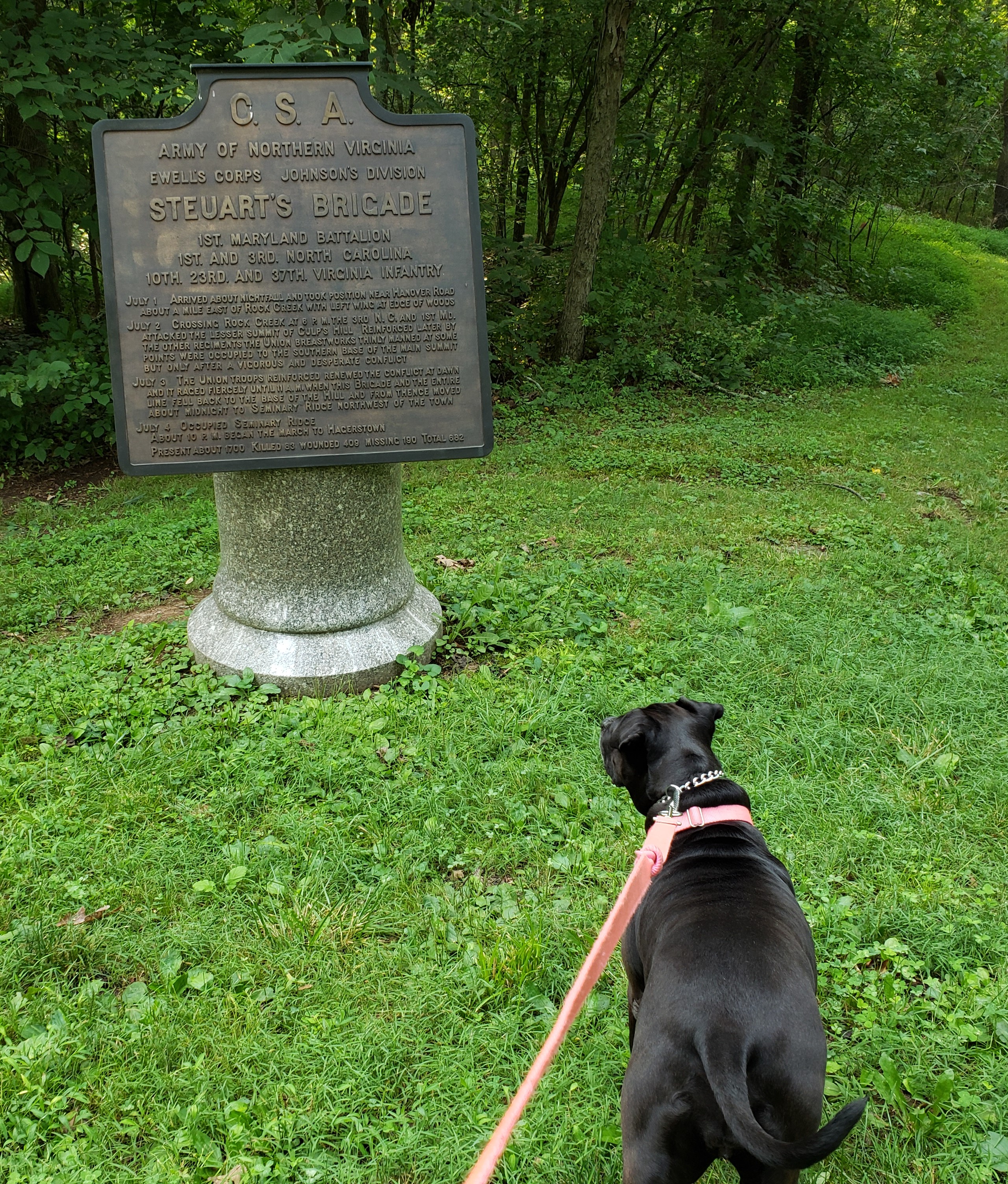 2021-07-24 20210722_084006