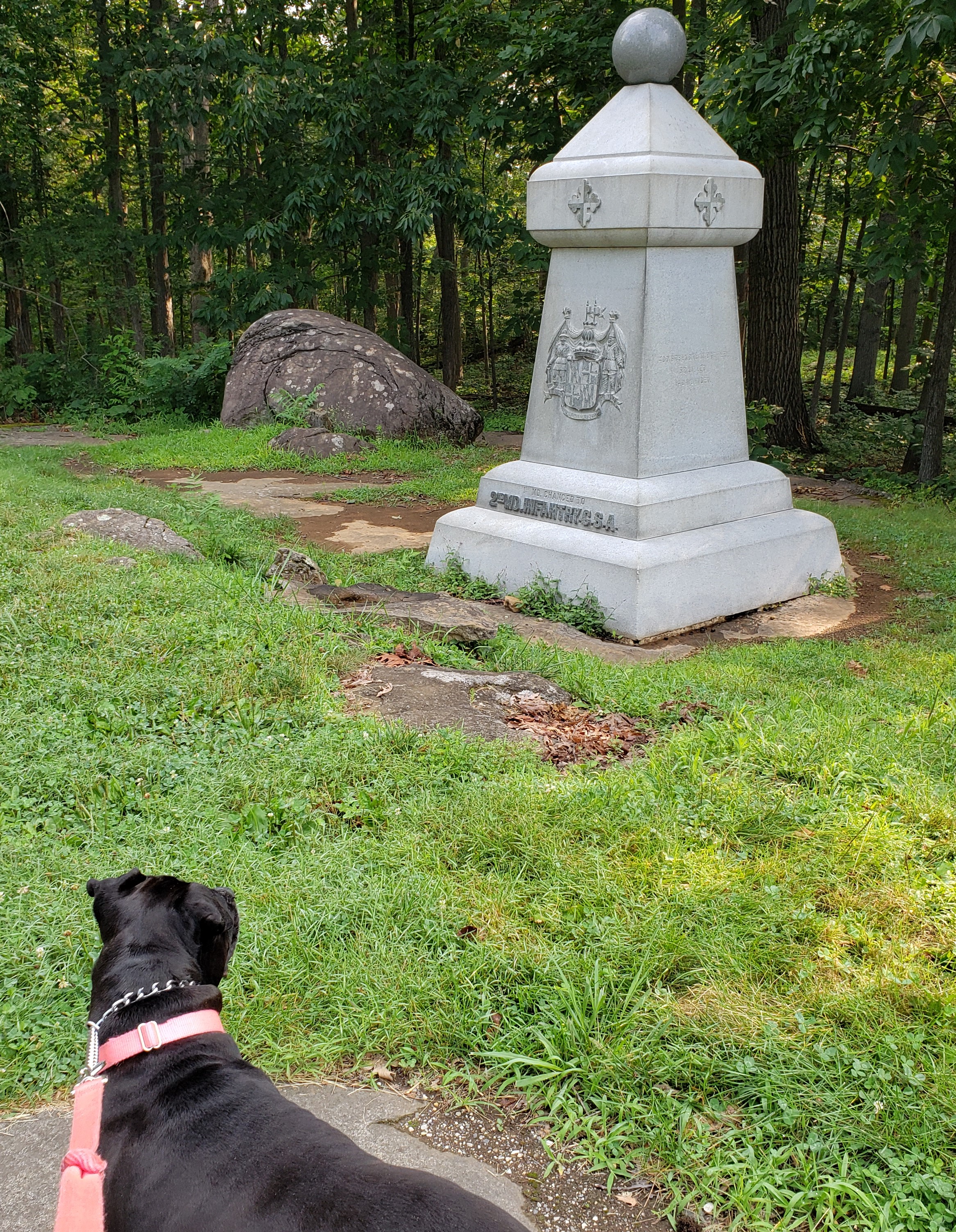 2021-07-24 20210722_085547