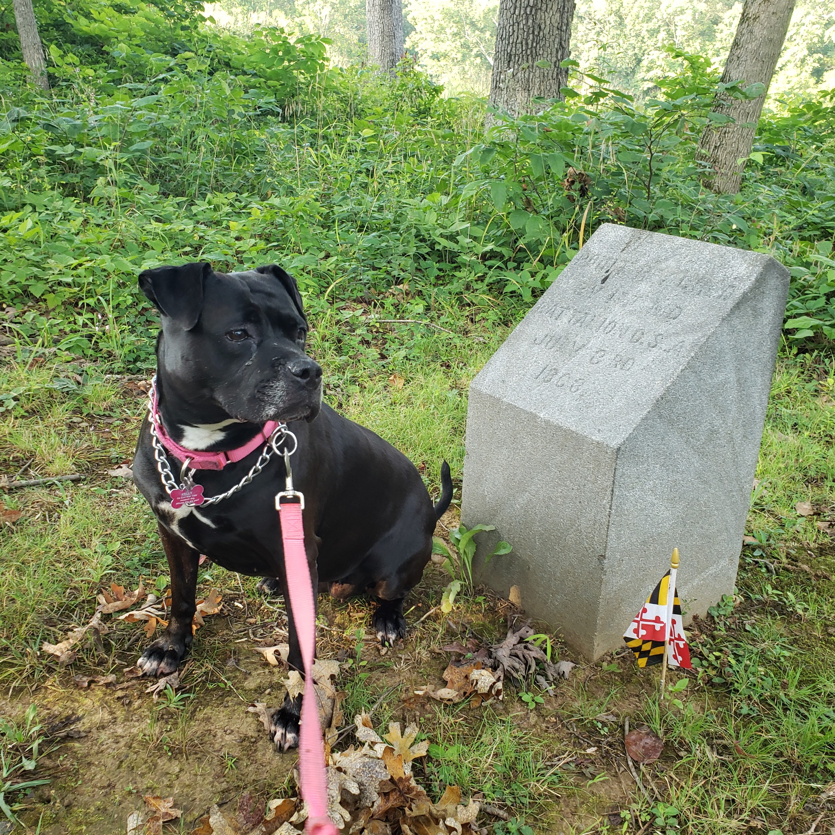 2021-07-24 20210724_075816