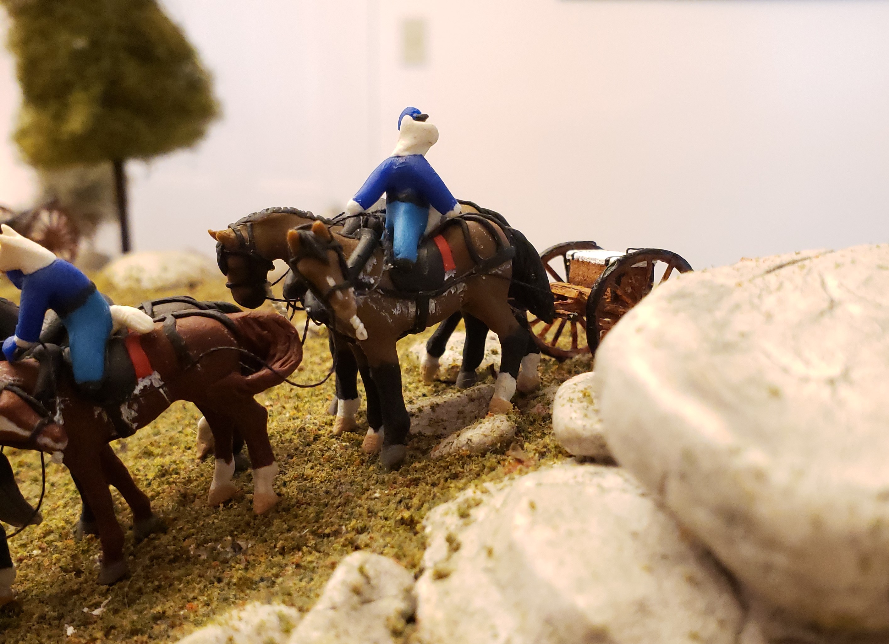 2021-08-21 10 20210821_104442 crop